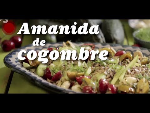 Vídeo: Recepta D’amanida De Gambes I Cogombre Fresc