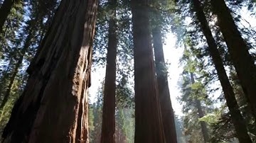 Line & Circle - "Mine Is Mine" (Official)