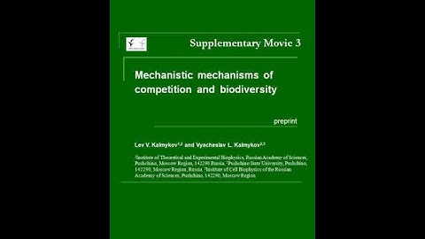 5.3. Coexistence. Strong violation of the competitive exclusion principle. Cellular Automata