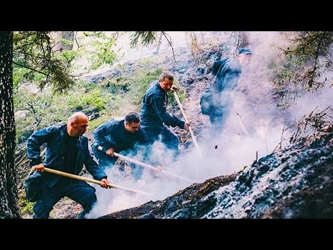 ხანძარი ბორჯომის ტყეში