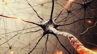 Sonic Desktop - Source Code C# screenshot 5