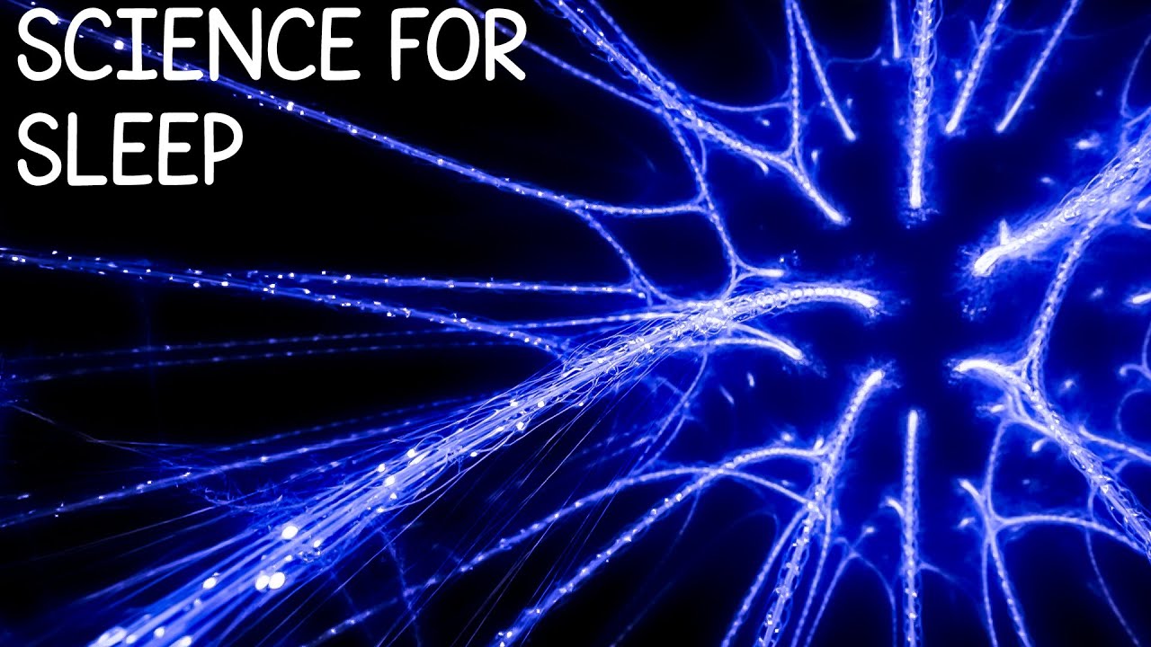 The Web of Illusions | The Curious Mind