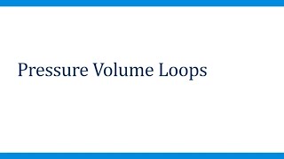 CVS 1.6 Pressure Volume Loops (2025)