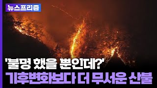 [탐사보도 뉴스프리즘] '불멍 했을 뿐인데?'…기후변화보다 더 무서운 산불 원인은 / 연합뉴스TV (YonhapnewsTV)
