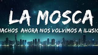 Muchachos, ahora nos volvimos a ilusionar - La Mosca |Top Version