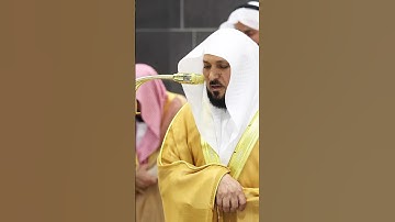 سورة الرحمن للشيخ ماهر المعيقلي