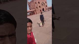 📍Delhi Jama Masjid❓ Kisne Banayi? Short Quiz! #jamaMasjid #delhi #shorts