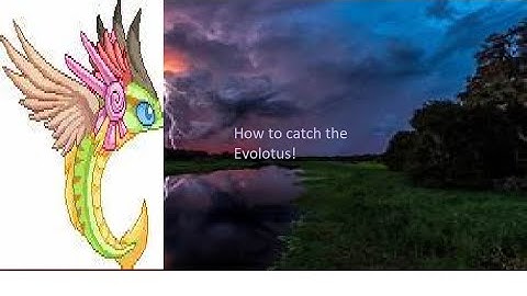 How to catch the Evolotus.