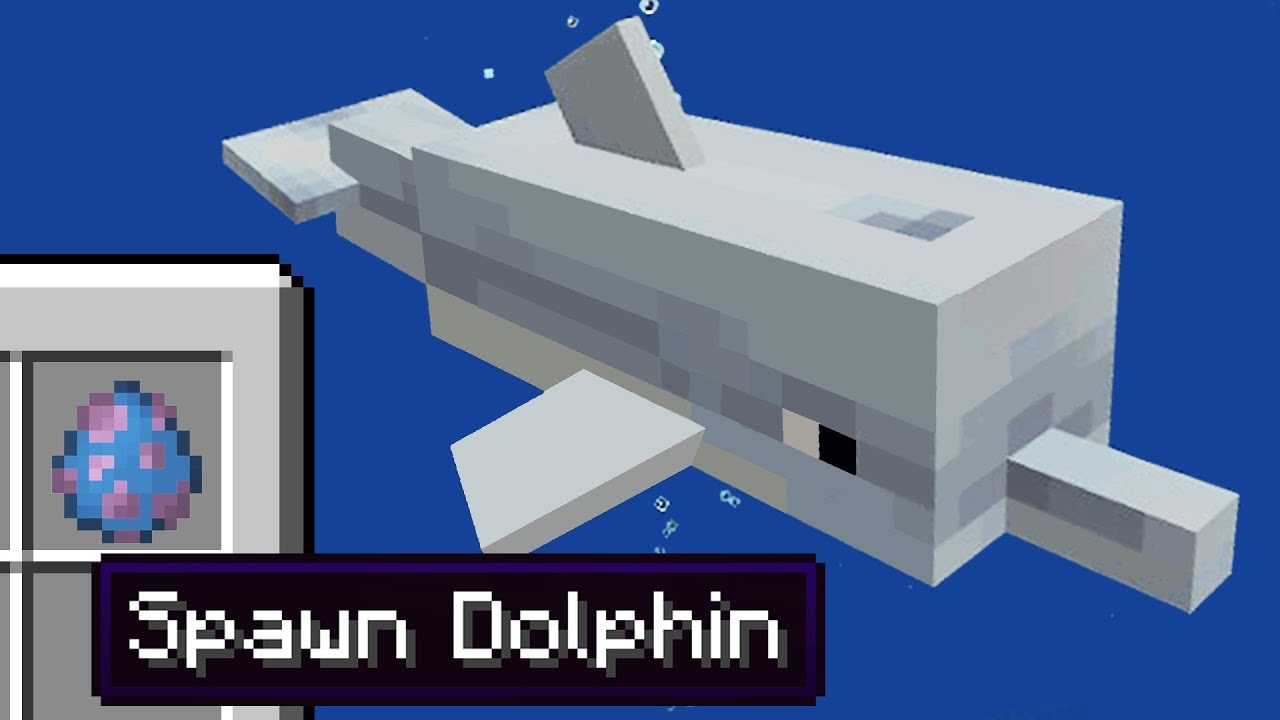 Dolphin - Minecraft Guide - IGN