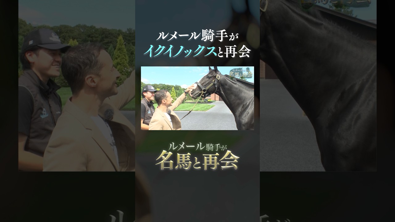 An emotional reunion between jockey Lemaire and Equinox. #Lemaire 