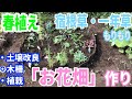 【花畑作り】直径1mの丸い花壇を作ります / 宿根草・一年草の春植え / 木柵（ガーデンエッジ ）の設置もしました【ガーデニング】