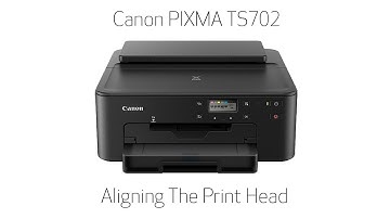 Canon PIXMA TS702/TS702a - Performing An Auto Print Head Alignment