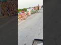 Hungary people #shortvideos