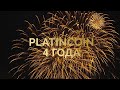 С днём рождения, PLATINCOIN! 4 года на рынке