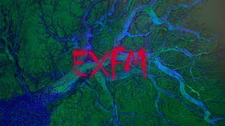  EX.FM (The lost Chronicles #2 )  :: RADioActiVE  ::
