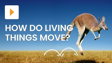 How Animals and Mini Beasts Move | Science | ClickView