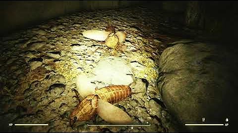 *Soundtrack Eyebot* - Fallout 76 Random Encounter