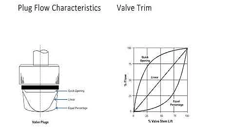 Valve Trim   Valve Plugs