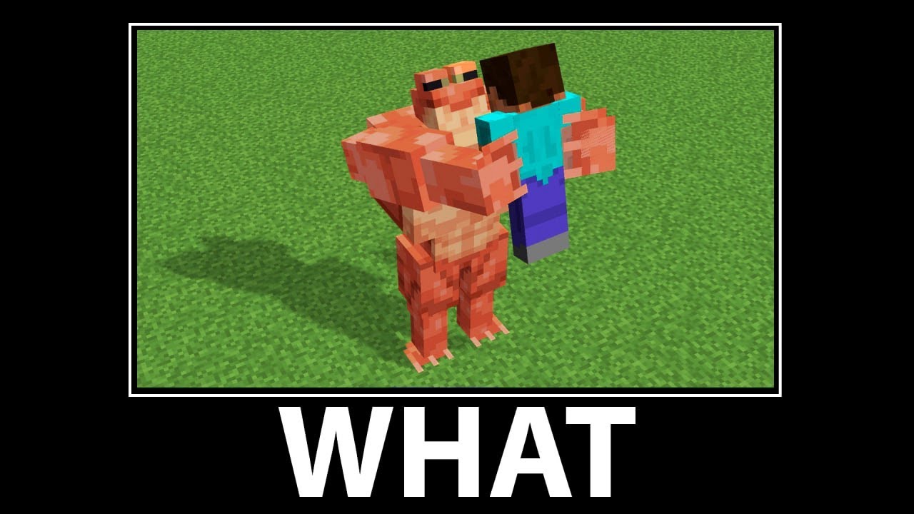 Compilation Scary Moments part 8 - Wait What meme in minecraft
