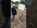 This sound is perfect for this #reels #fishing #hunting #outdoors #goviral