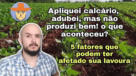 Como a compactação do solo pode ser prejudicial a produção agrícola?