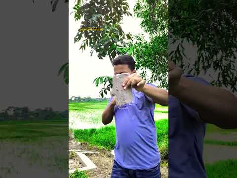 সেরা ফানি ভিডিও ২০২৬ 🤣🤣🤣 #funny #banglicomedy #shorts