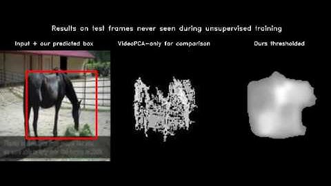 horse 2 - unsupervised object discovery