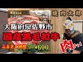 【焼肉太郎】泉佐野市第2弾！黒毛和牛ロースステーキ６００ｇ【大阪府泉佐野市】ふるさと納税の返礼品【牛肉】経産牛【肉チャンネル】