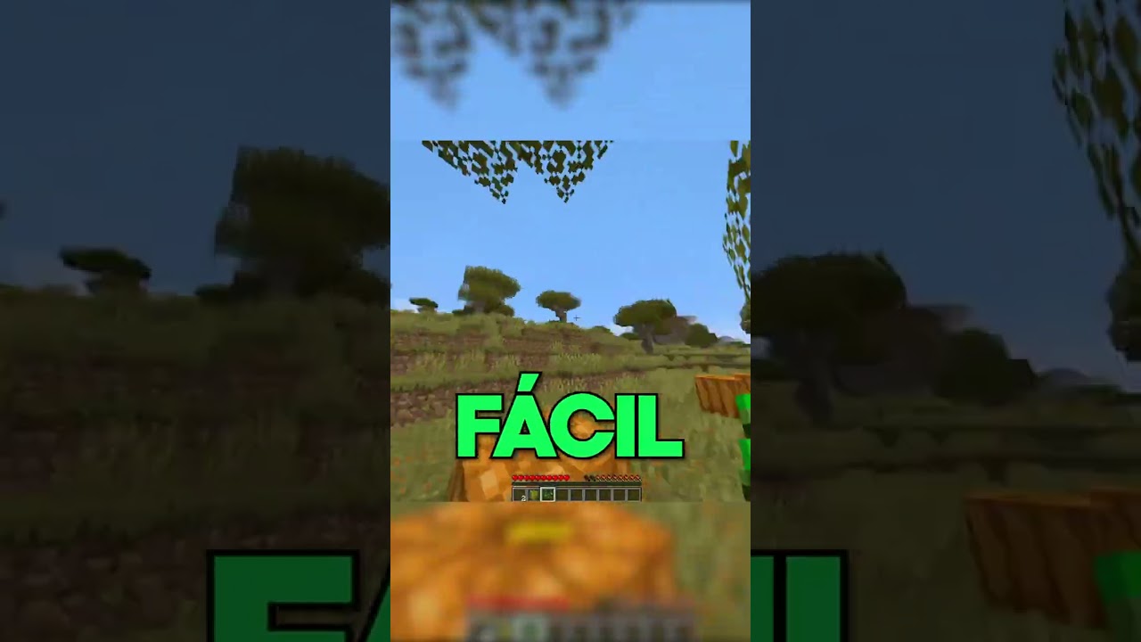 Minecraft, Pero Todo Lo Que Miras Desaparece...