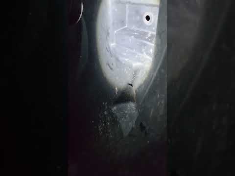 How Many Bulbs Are In A 2018 F150 Headlight