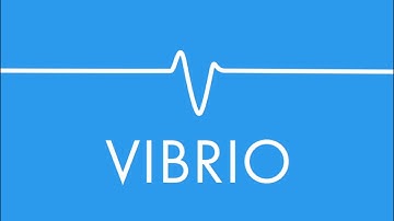 Vibrio 2.0 - The lighting app built with you in mind