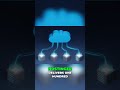 Hostinger VPS Review 2025 – The Best Cheap VPS Hosting for Beginners