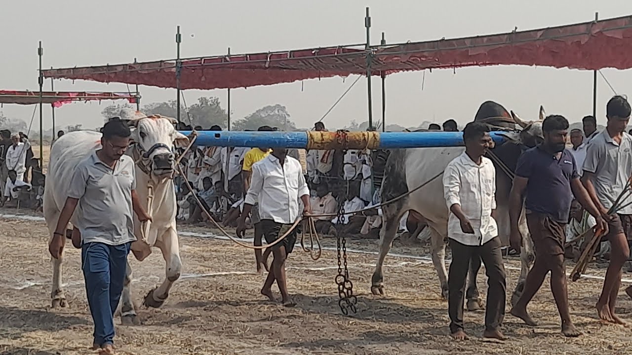 💥🌾పెద్దపసుపుల సీనియర్ విభాగానికి  2వ జత M. రమేష్ బాబు యాదవ్ గారు💥08-03-2026💥