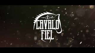 Video thumbnail of "CAVALO FIEL -  JUNIOR VIANNA  (CLIPE OFICIAL)"