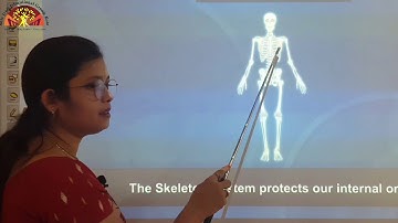 Class 3 Science Ch 9 Our Body Part 01