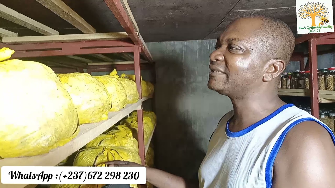 Culture du champignon : Ce qu'on ne vous dit pas déçu....(Acte 1)