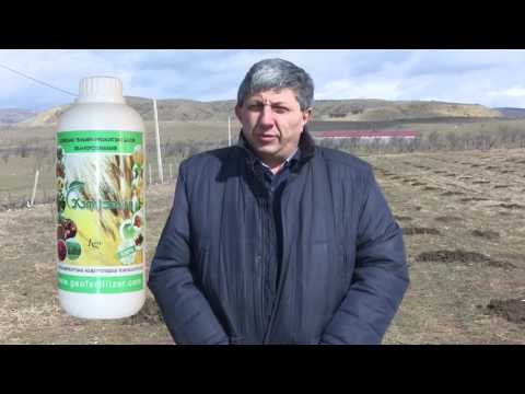 ხეხილის  ბაღის გაშენება  ბუნებრივი ცეოლითის  გამოყენებით (შპს  ჯეოფერტი - GeoFert LTD)