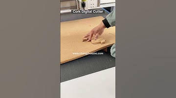 Corkwood Oscillating Knife Digital CNC Cutting Machine