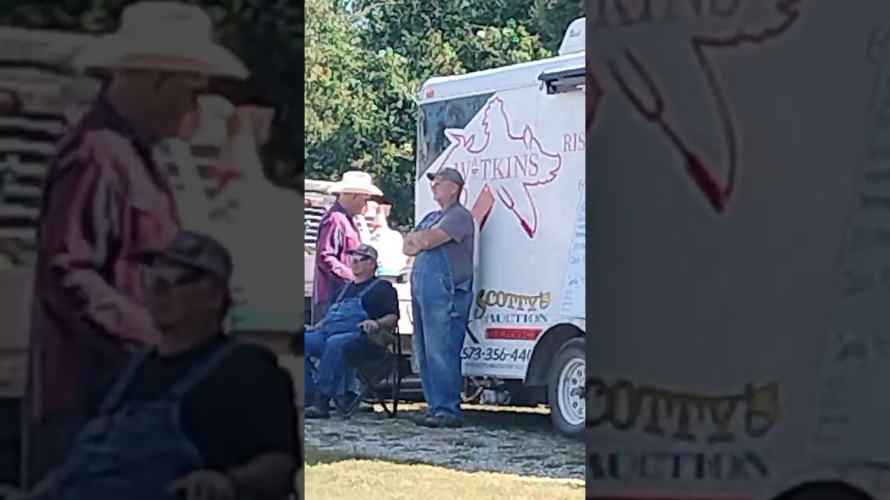 Auctions Are A Bit Of A Gamble