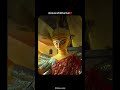 Welcoming Maa Durga | Nikon India