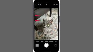 How to Know iPhone Battery Boosted or Not (2025 Guide) | Check iPhone Battery Boost