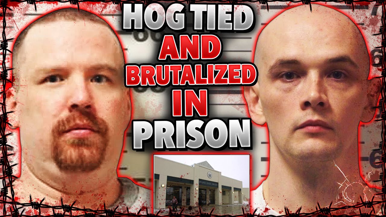 Hog Tied