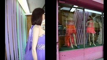 Storefront Window: Final Install