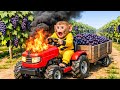 Monkey Drives Tractor to Harvest Ripe Grapes & Engine Fire Disaster | Monkey Farm Work