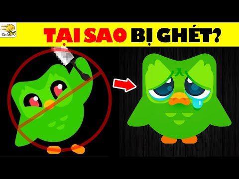 Đỉnh Cao Thông Minh - 15 Câu Đố Gây Sốt Tuần Qua Tuổi Teen Nên Biết | Nhanh Trí