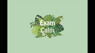 Exam Calm