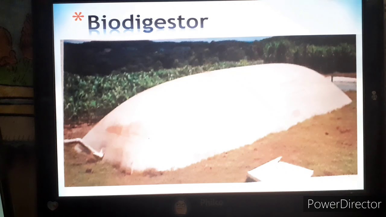 Aula de Ciências - Dia 07/10/2020.