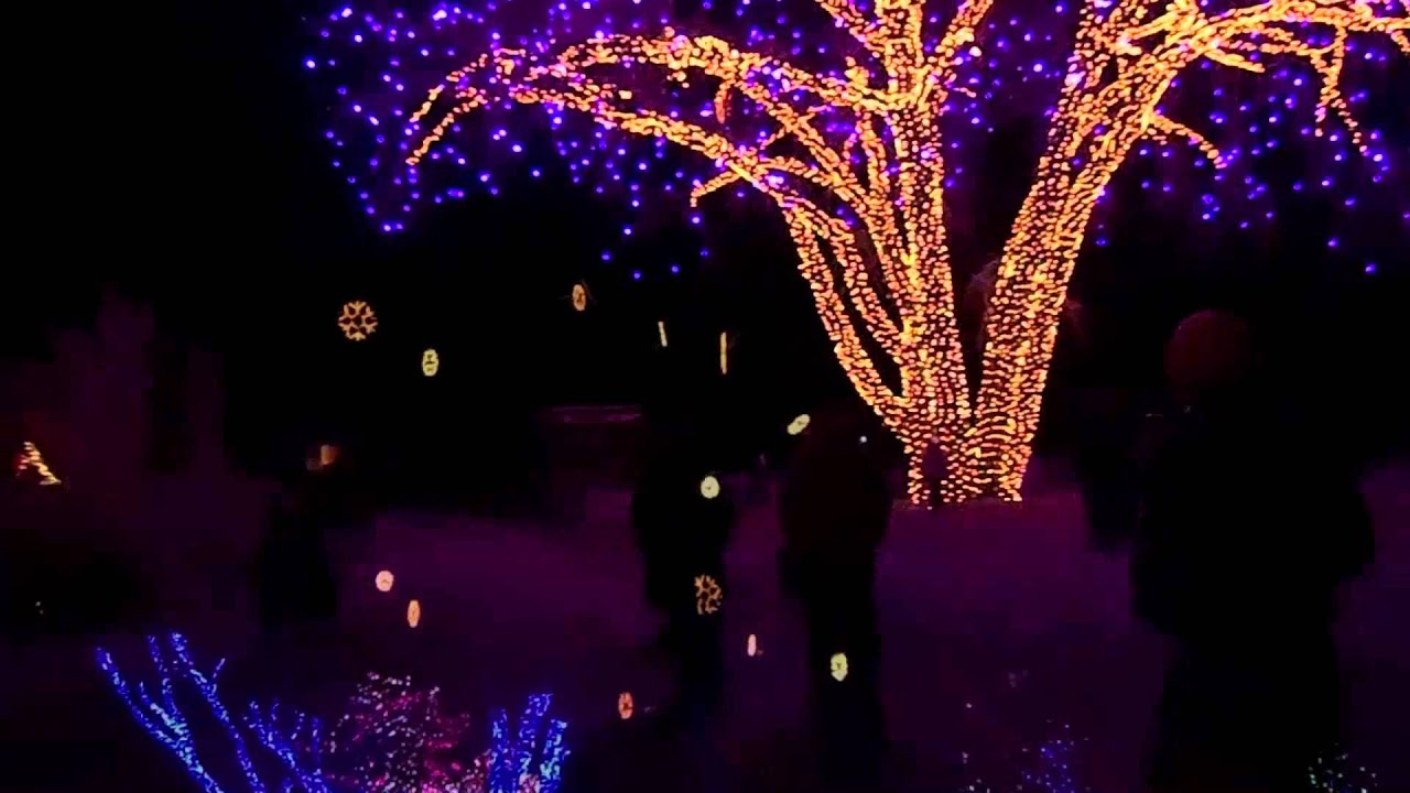 Hudson Garden Christmas Lights December 2013 Youtube