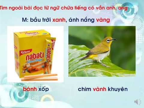 Tiếng Việt lớp 1_Tuần 22_Bài 2_Mặt trời và hạt đậu