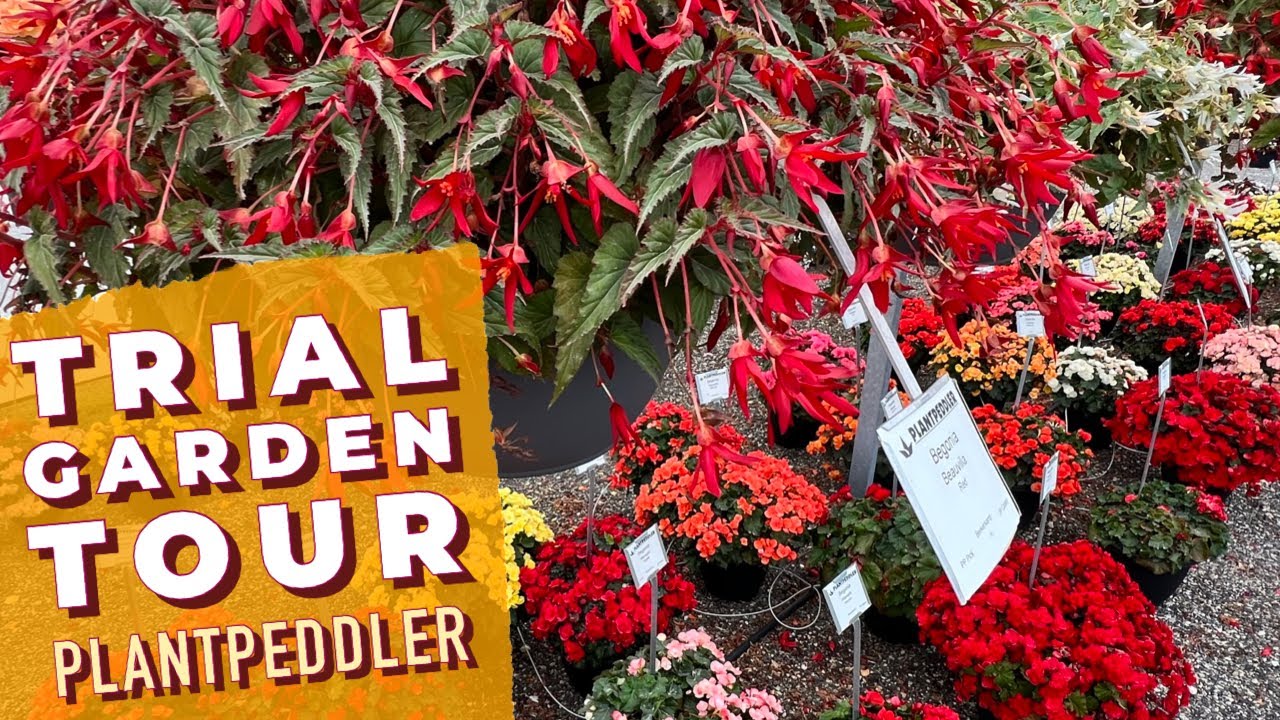 Touring the Trial Gardens at Plantpeddler - Ending the Season in Iowa